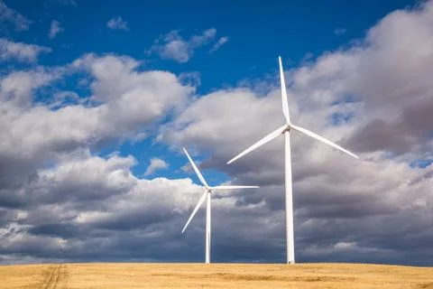 Trail through field next to two windmills in Washington Stock Photos
