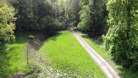 Trail through forest. Stock Footage 107830706