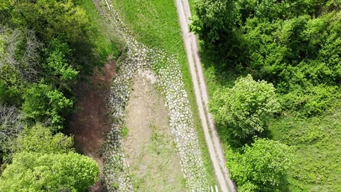Trail through forest. Stock Footage 107831511