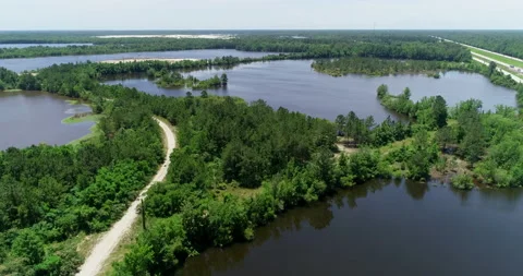 Trail through lakes in rural Florida Stock Footage 156572053