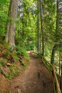 Trail through park 스톡 사진