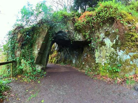Trail through the spring forest. Stock Photos