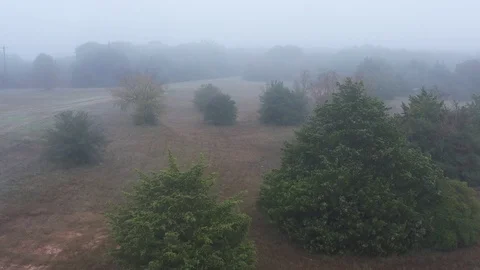 A Trail Through Trees, Grass and Fog, Bryan, TX, USA Stock Footage 129386672