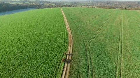 Trail Through Winter Crops UK Aerial View Video stock 132232334