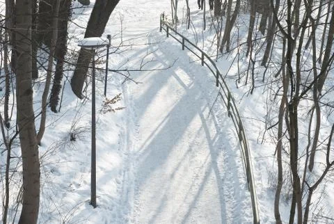 Trail through winter  scenery Stock Photos