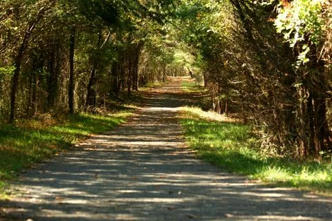 Trail through the woods Stock Photos