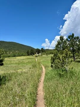 Trail to Tomorrow: Mountain Path Through Summer Grass Stock Photos