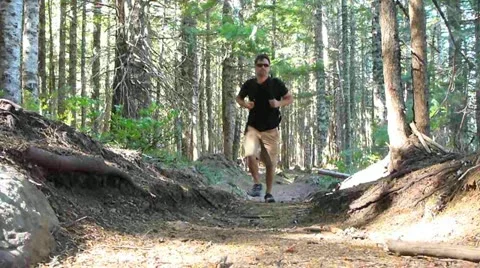 Trail in the Trees Stock Footage 12027562