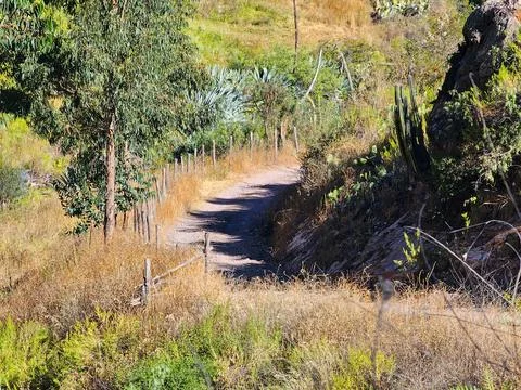 Trail type path in the high Andean mountains Foto stock