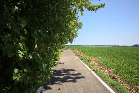 Trail under a tree branch Stock Photos