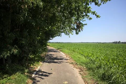Trail under a tree branch Stock Photos