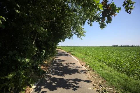Trail under a tree branch Stock Photos