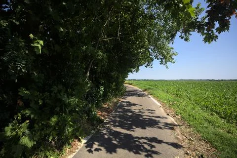 Trail under a tree branch Stock Photos
