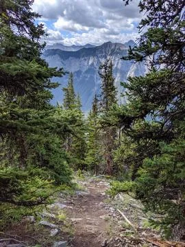 A Trail View of a Mountain Range Framed by Evergreen Trees Foto stock