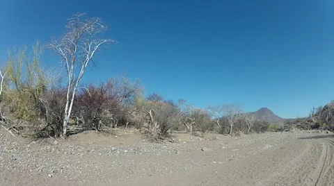 Trail walk 02 Stock Footage 22104566