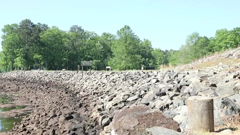 Trail Walk to Lake Stock Footage 274573876