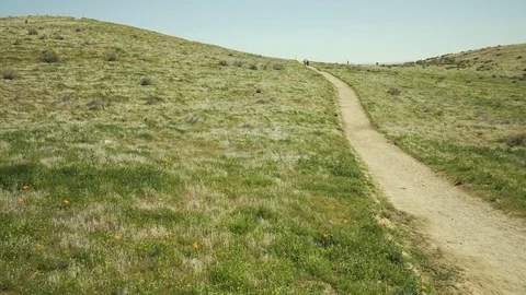 Trail Walking Field Stock Footage 82273863