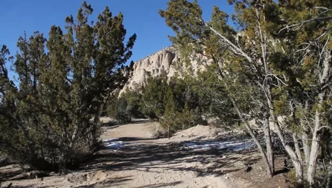 Trail Walking POV 1156 Stock Footage 1033677