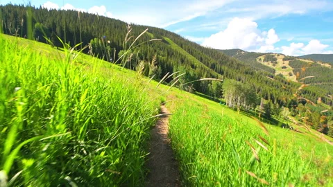 Trail walking pov at Colorado Beaver Creek royal elk hiking trail Stock Footage 249348053