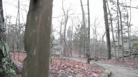 Trail Walkway Video stock 31038261