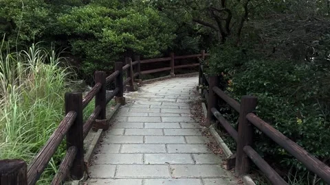 Trail, walkway Stock Footage 249386324