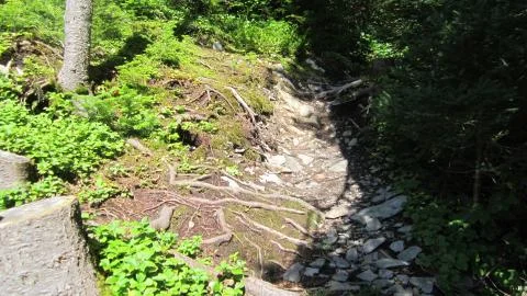 Trail to the Waterfall 스톡 사진