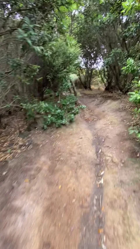 Trail in a Wellington park Видео 344255906