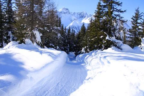 The trail in the white snow Stock Photos