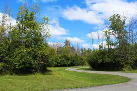 Trail winding through trees Stock Photos