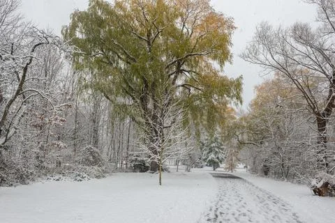 Trail in winter park Stock Photos