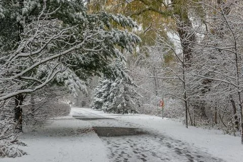 Trail in winter park Stock Photos