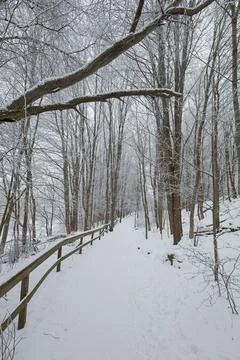 Trail in winter. Foto stock