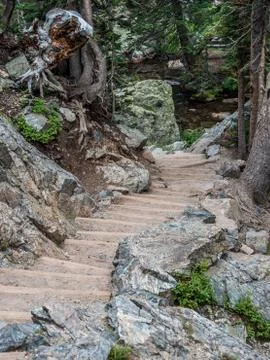 Trail in the woods Stock Photos