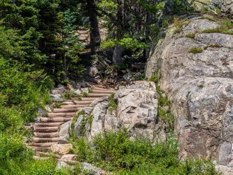 Trail in the woods Foto stock
