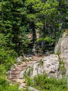 Trail in the woods Stock Photos