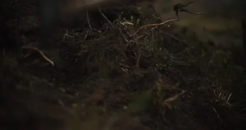 Trail work in high alpine Mountain Bowl Stock Footage 133207780