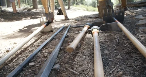 Trail work tools in National Forest before hiking trail maintenance Stock Footage 96904574