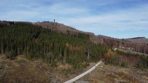 Trail To The Wurmberg,Germany,Harz Vídeos de archivo 220707804