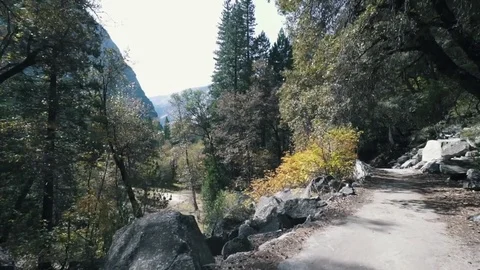 Trail in Yosemite Stock Footage 82049228