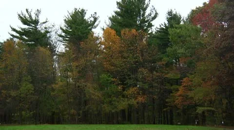 Trailer and RV in the forest (LP-Voorhees-024) Stock Footage 8928160