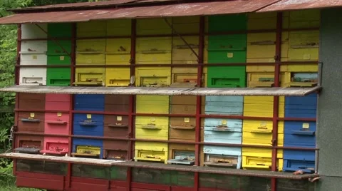 Trailer with apiaries Stock Footage 50578442