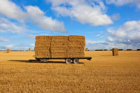 Trailer with bales Stock Photos
