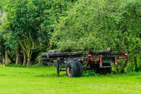 Trailer from a logging rig under a tree Stock Photos