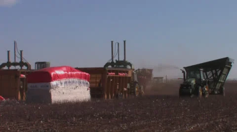 Trailer past cotton modules Stock Footage 27158005