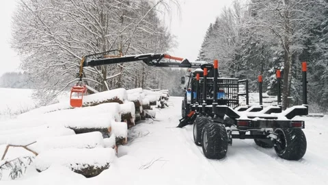 Trailer stabilization and crane capture of logs in a snow-covered forest Stock Footage 169548745