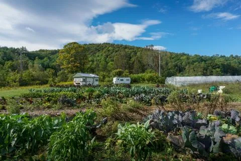 Trailers parked on vegetable garden Stock Photos