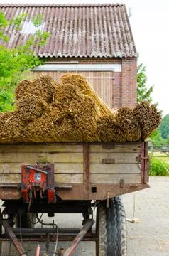 Trailers with reed Stock Photos