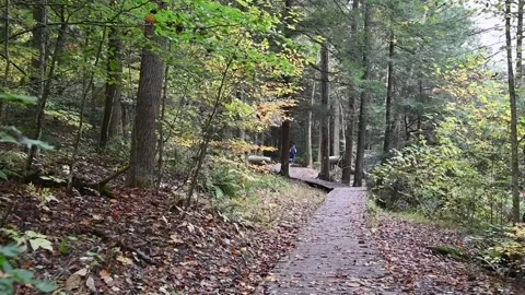 TrailHD01 Stock Footage 168364852