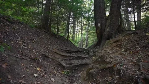 TrailHD03 Stock Footage 168364870