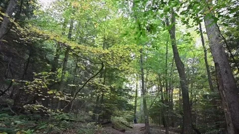 TrailHD04 Stock Footage 168364853